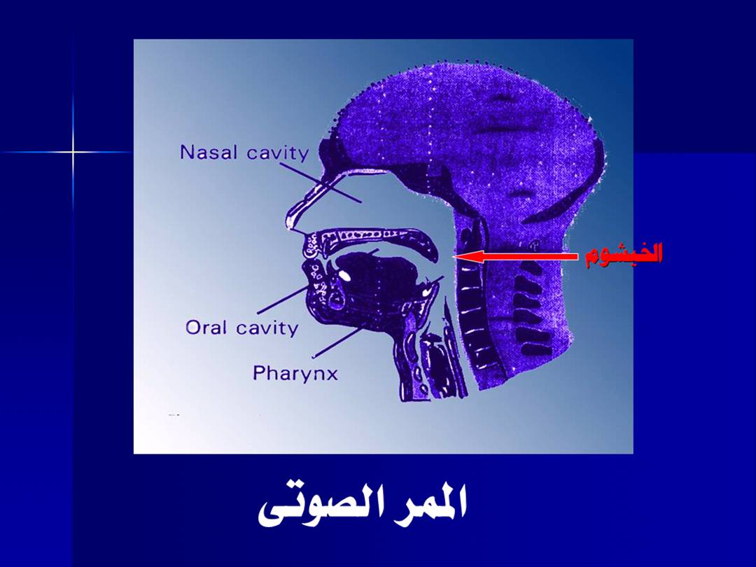 تجويد الحرف - مخارج الحروف